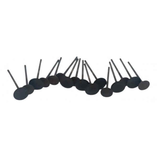 Jogo Valvula Admissão Escape Kia Sorento 2.4 16v 2014 2015