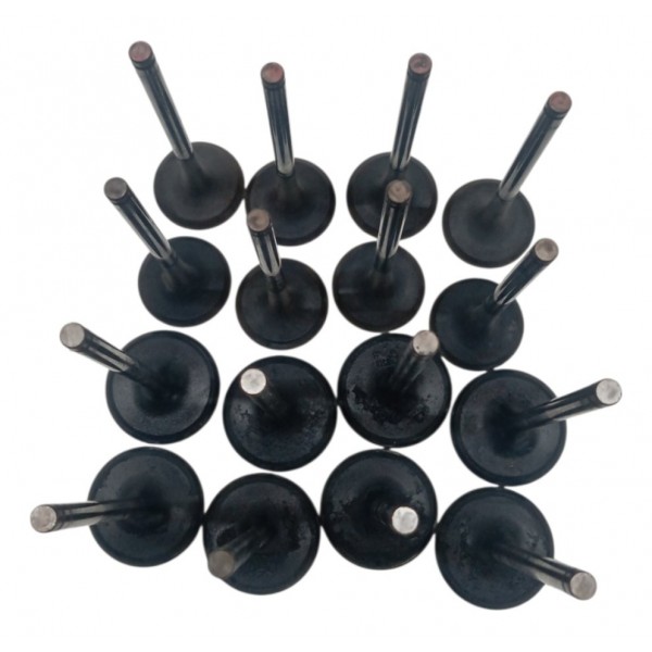 Jogo Valvula Admissão Escape Kia Sorento 2.4 16v 2014 2015