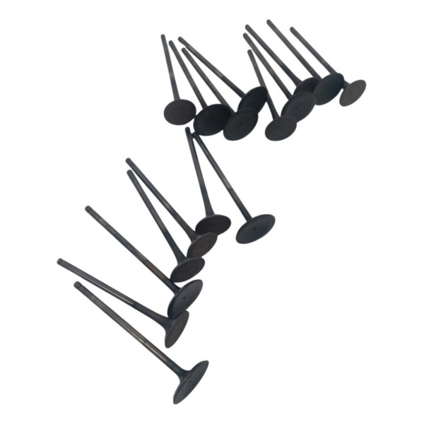 Jogo Valvula Admissão Escape Kia Sorento 2.4 16v 2014 2015