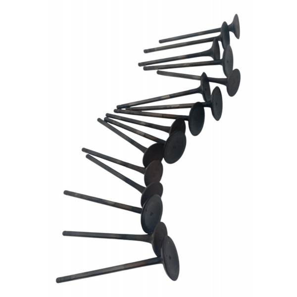 Jogo Valvula Admissão Escape Kia Sorento 2.4 16v 2014 2015