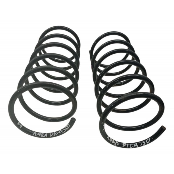 Par Molas Dianteiras Citroen Xsara Picasso 2.0 2008 2009