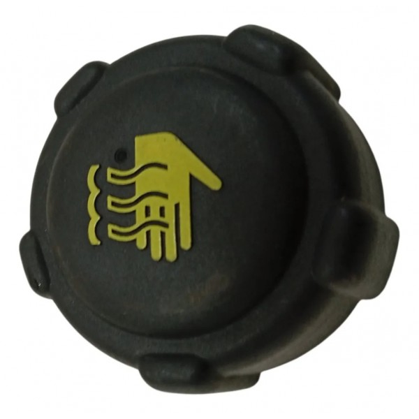 Tampa Reservatorio Agua Radiador Renault Clio 1.0 16v 2014