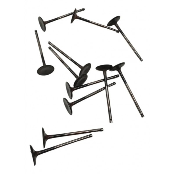 Jogo Valvula 12 Escape Ford Edge 3.5 V6 2011 2012 2013