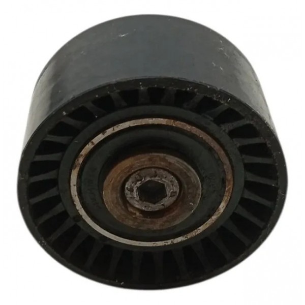 Polia Correia Alternador Peugeot 206 207 307 1.6 2019 2020 Preto