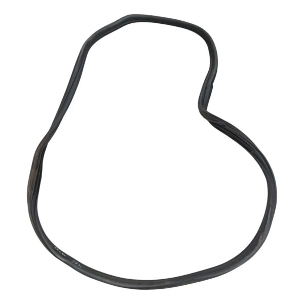 Borracha Vedação Porta Traseira Direita Fiat Mobi 2020 2021