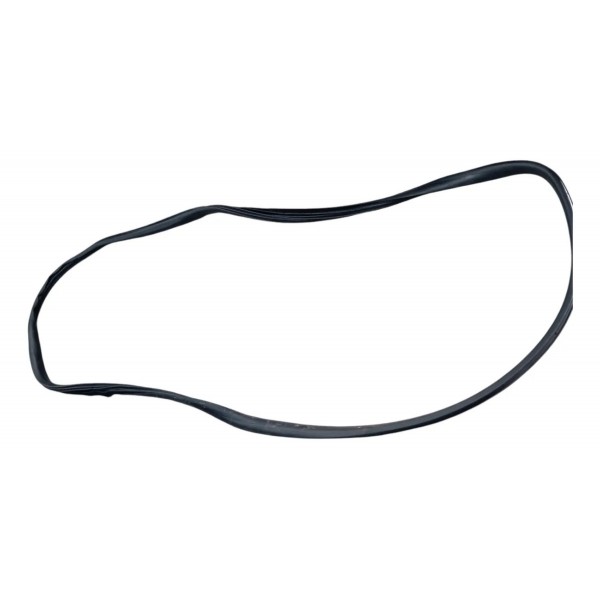 Borracha Porta Traseira Direita Citroen C4 Glx 2013 2014