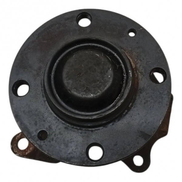 Cubo Roda Traseira Peugeot 207  2010 2011