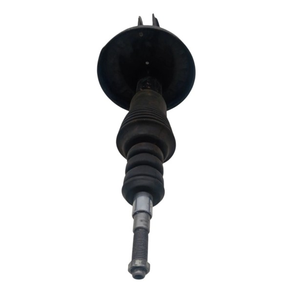 Amortecedor Dianteiro Renault Clio 10998 1999 2000 2001 2002