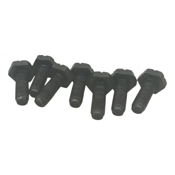 Parafusos Fixação Cremalheira Motor Renault Scenic 1.0 2003