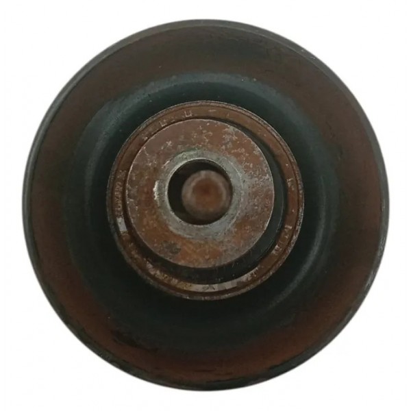 Polia Alternador Ford Focus 2.0 Hatch 2005 2006 2007