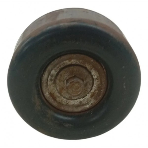 Polia Alternador Ford Focus 2.0 Hatch 2005 2006 2007