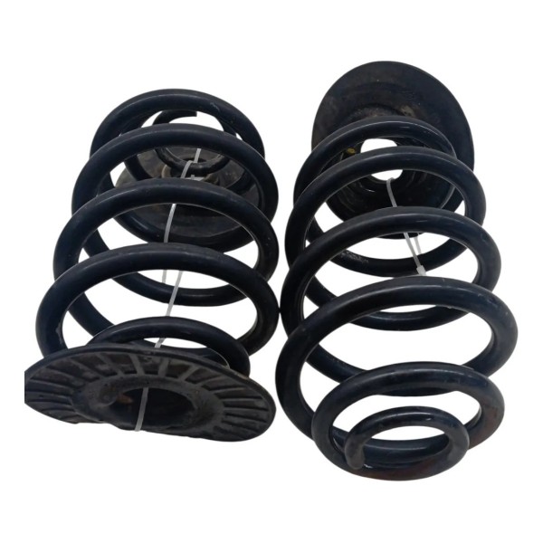 Par Molas Traseiras Renault Clio 1.0 2004 2005 2006 2007