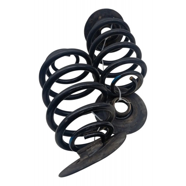 Par Molas Traseiras Renault Clio 1.0 2004 2005 2006 2007