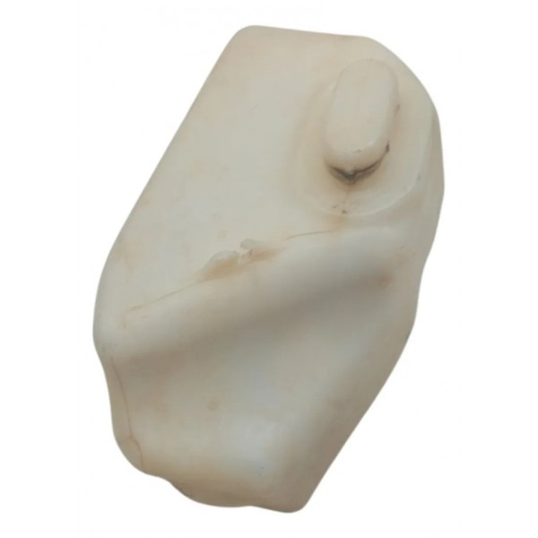 Reservatorio Limpador Parabrisa Citroen C3 Glx 1.4 2011 2012