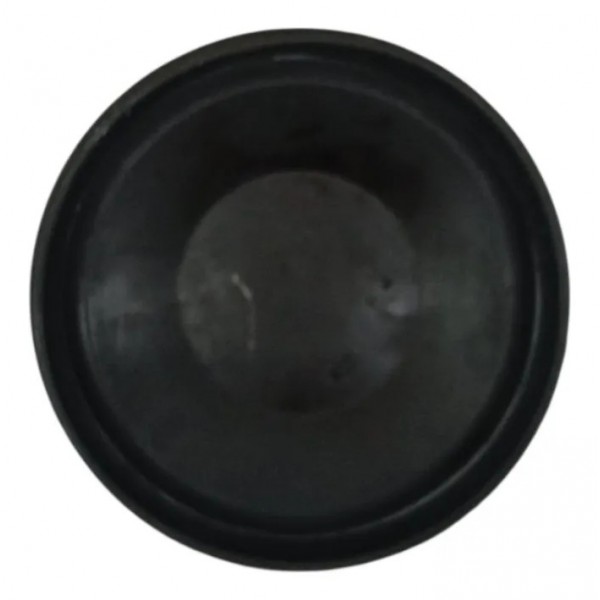 Tampa Farol Milha Renault Clio 1.0 2003 2004 2005 2006 2007