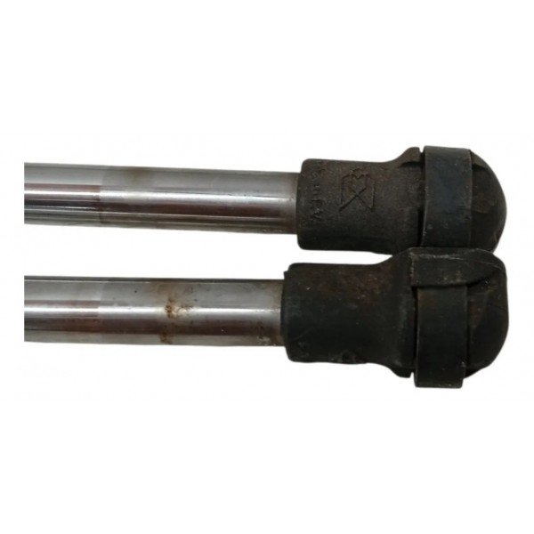 Par Amortecedor Tampa Traseira Renault Clio 1.0 2005 2006