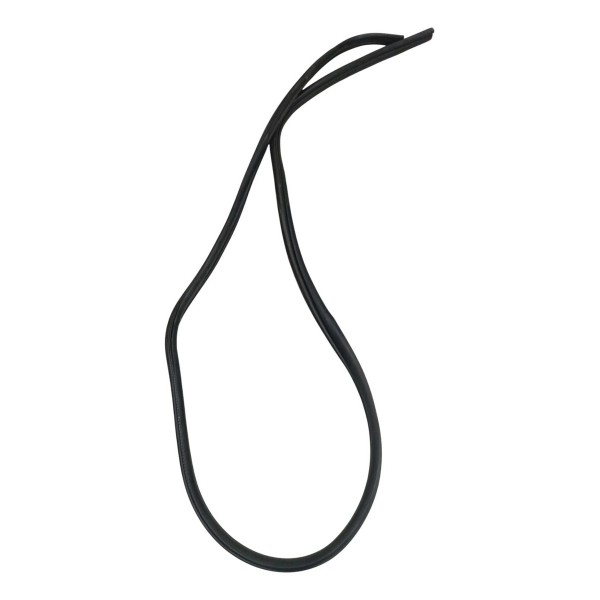 Borracha Vedação Porta Dianteira Direita Renault Clio 2006