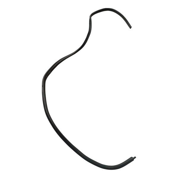 Borracha Vedação Porta Dianteira Direita Renault Clio 2006