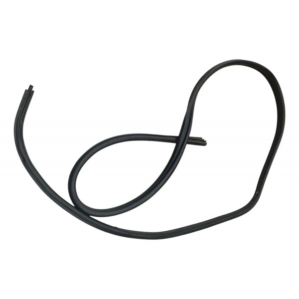 Borracha Vedação Porta Dianteira Direita Renault Clio 2006