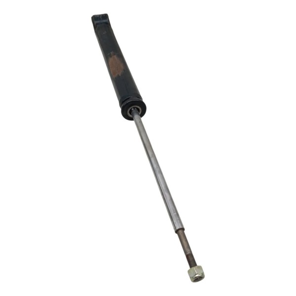 Amortecedor Traseiro Renault Clio 1.02004 2005 2006 2007