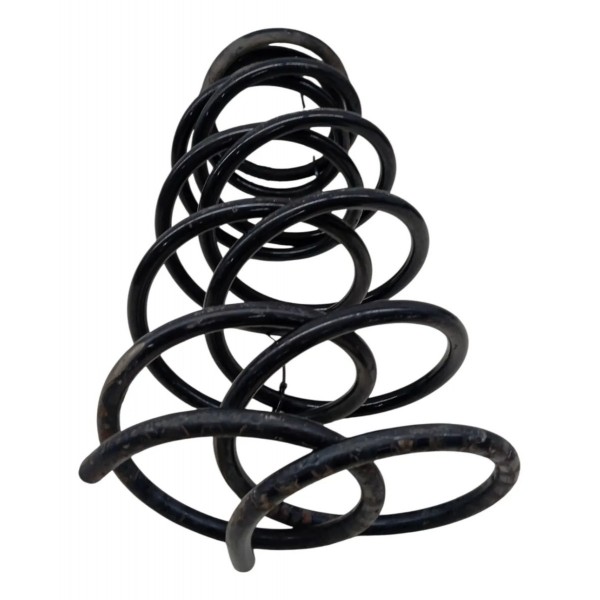 Par Molas Dianteiras Renault Clio 1.0 2005 2006 2007 2008