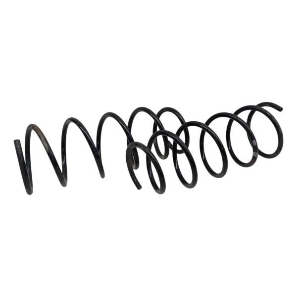 Par Molas Dianteiras Renault Clio 1.0 2005 2006 2007 2008